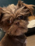 Lucy En...