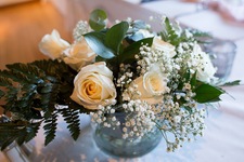 llamallamacallurmama