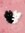 aster