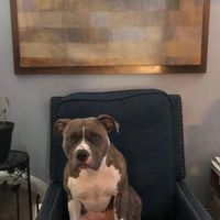 Heather Steele Dougherty