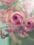 Wendy M