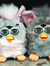 GrayFurby