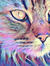 Scar