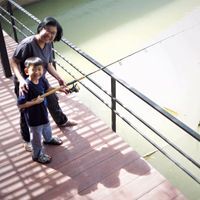 พรพิไล วนิชปทุมรัตนา