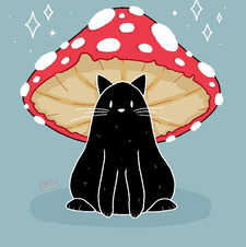 MUsHROOMcAT