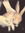 ry ✧ | 14 comments