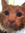 member photo member photo