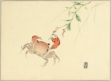 Harajyuku