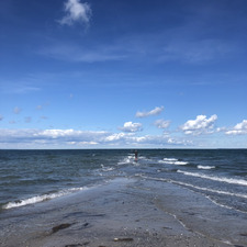 Frederikke Von wildenradt