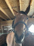 Katie