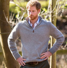 Prince Harry optional 
