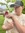 Lexi