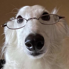milo