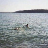 Denice Fletcher Yeagin