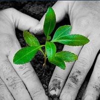 Κίνηση Πολιτών