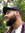Mike Rogers