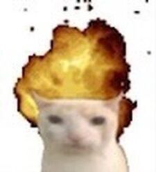 M :))