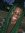 Em | 2 comments