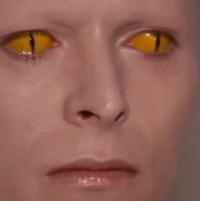 słonestopy252 &#x1f90c;&#x1f3fc;