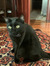 Mitzy W...