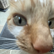 Alix