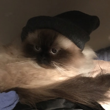 Michael Thornburg-Suresh