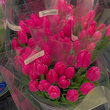 Rayshel Jeanotte-Doss