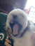 Kylin S...