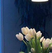 سارة العدوي