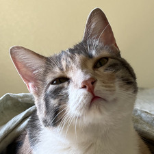 Katie