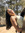 Rennie | 8 comments