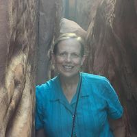 Cinda Taylor