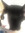 virg