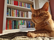 my.bookshelf.87
