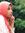 Asma Khan