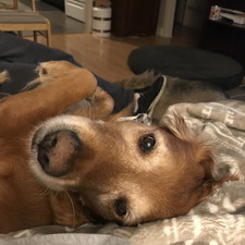 Samantha