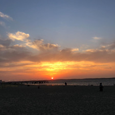 Margot_