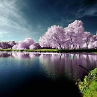 Fatima Silva Andrade