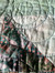 Nikki R….