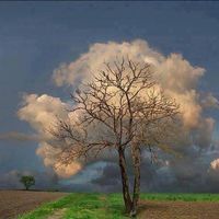 Христо Гюзелев