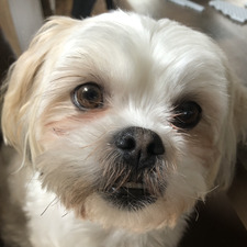 Jolie