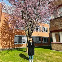 Sandhya Bohara