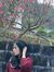 Yến Hải