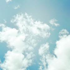 little &#x1f4da; birdee