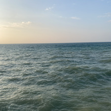 Dorothée Buch-Andersen