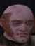 Fiflak