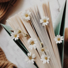 Cozy Reads