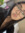 noheli