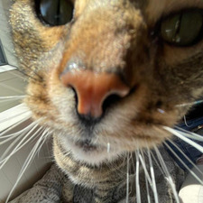Elinnnnnnn