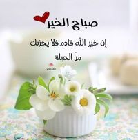 Mustafa Fayed